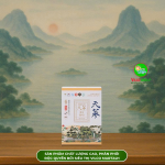SHQ13 THỰC PHẨM BỔ SUNG NƯỚC HẮC SÂM ĐÔNG TRÙNG HẠ THẢO HÀN QUỐC - KOREAN BLACK GINSENG CORDYCEPS 50ml/ gói, 30 gói/ hộp – BÍ QUYẾT NÂNG CAO SỨC KHỎE TỪ THIÊN NHIÊN (30 Gói)