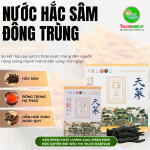 SHQ33 THỰC PHẨM BỔ SUNG NƯỚC HẮC SÂM ĐÔNG TRÙNG - ĐỘT PHÁ VỚI THÀNH PHẦN HẮC SÂM GIÁ TRỊ CAO (60 Gói)