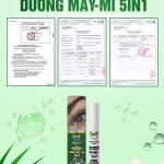 Tinh chất 5in1 dưỡng Mày mi Minh Lady Beauty  Dưỡng Mi và Mày Hiệu Quả