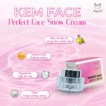 [MUA 1 TẶNG 1] Kem FACE NÁM TÀN NHANG PERFECT FACE SNOW CREAM 23G [mua 2 tặng 1] MINH LADY hỗ trợ trắng da mờ nám tàn nhang cấp ẩm