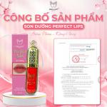 Tinh chất SON DƯỠNG VITAMIN MỜ THÂM, GIẢM NỨT NẺ, DƯỠNG SAU PHUN XÂM CÓ MÀU MINH LADY Perfect Lips - Hỗ trợ dưỡng mềm môi lên màu - Cosmetic