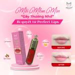 Tinh chất SON DƯỠNG VITAMIN MỜ THÂM, GIẢM NỨT NẺ, DƯỠNG SAU PHUN XÂM CÓ MÀU MINH LADY Perfect Lips - Hỗ trợ dưỡng mềm môi lên màu - Cosmetic