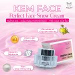 [MUA 1 TẶNG 1] Kem FACE NÁM TÀN NHANG PERFECT FACE SNOW CREAM 23G [mua 2 tặng 1] MINH LADY hỗ trợ trắng da mờ nám tàn nhang cấp ẩm